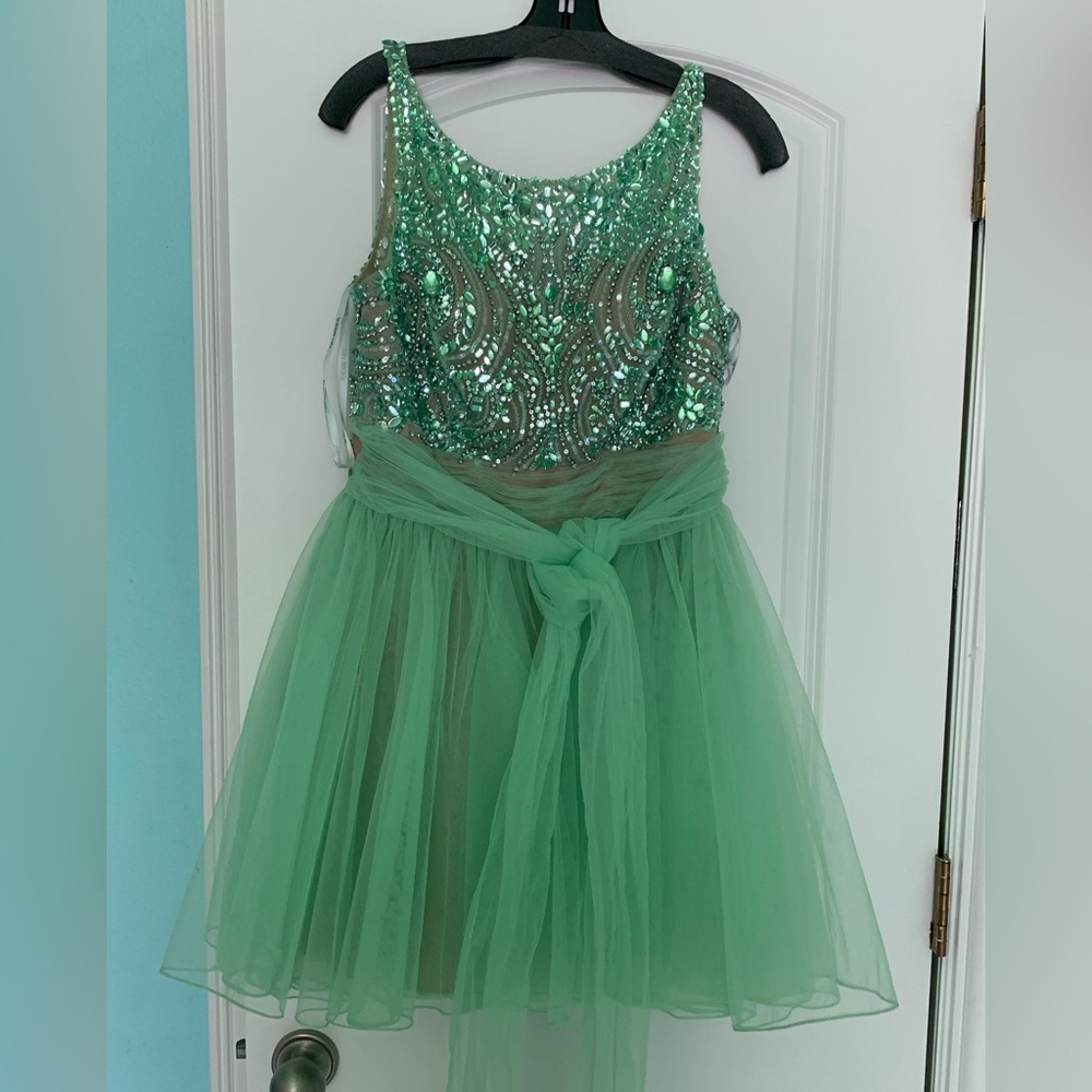 Sherri Hill Pale Green Jeweled Top Designer Dress - Size 12